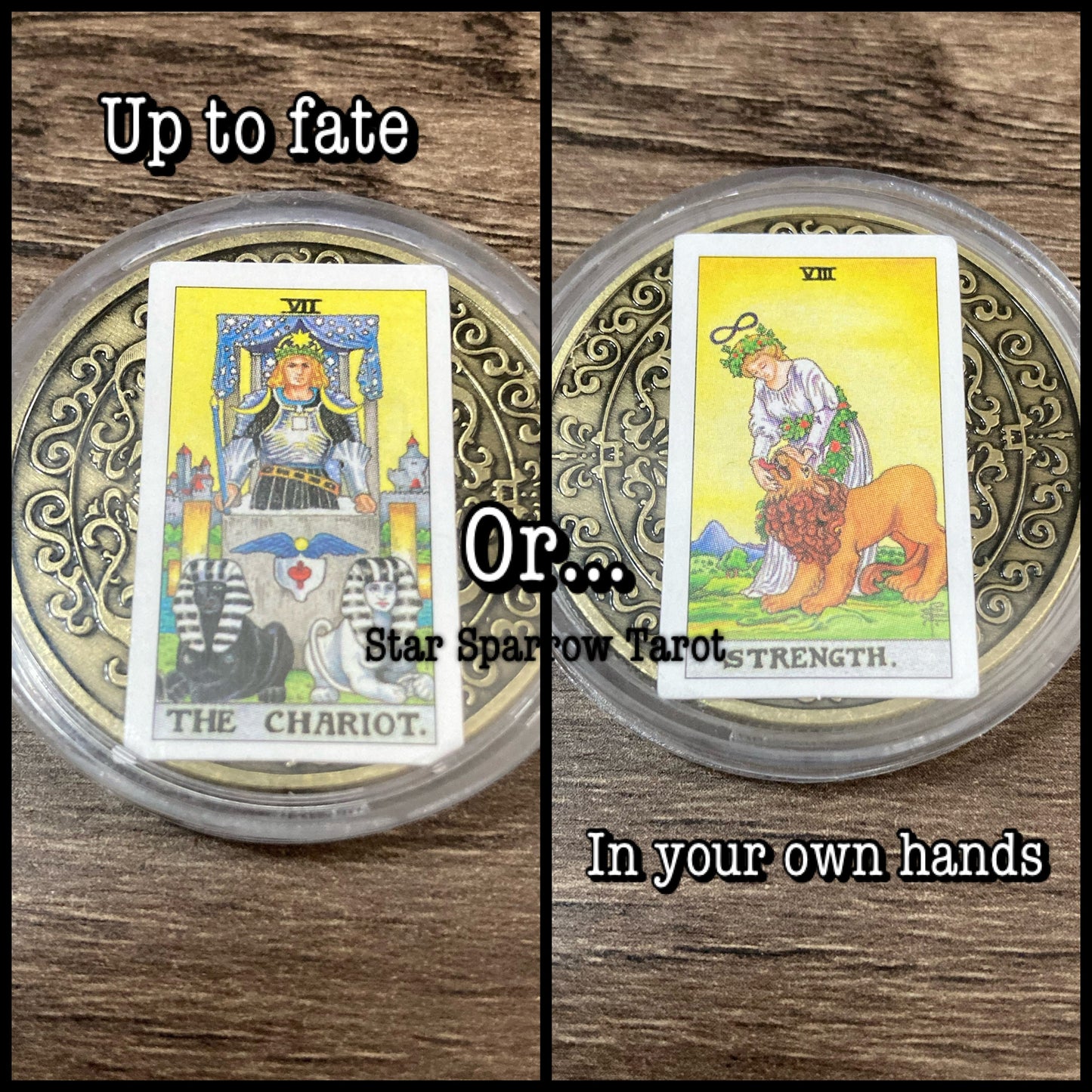 Tarot Divination Coins